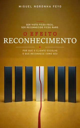 Capa do livro Efeito Reconhecimento, de Miguel Noronha Feyo — em preparação